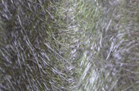 Chalfont Common fibreglass roof work